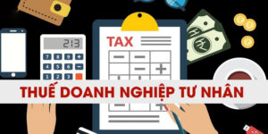 Doanh nghiệp tư nhân phải nộp đầy đủ các loại thuế theo quy định.