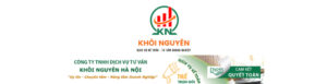Công Ty TNHH Dịch Vụ Tư Vấn Khôi Nguyên Hà Nội