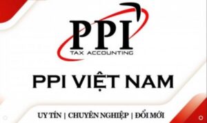 Công Ty TNHH Dịch Vụ & Tư Vấn Thuế PPI Việt Nam