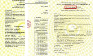 Hồ sơ, quy trình đăng ký mẫu giấy phép kinh doanh nhanh gọn, minh bạch.