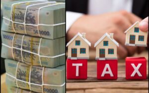 Đối với các hoạt động khác