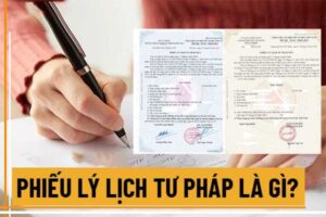 Lý lịch tư pháp là gì?