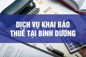 Dịch vụ báo cáo thuế tại Bình Dương đã ra đời để hỗ trợ cho doanh nghiệp